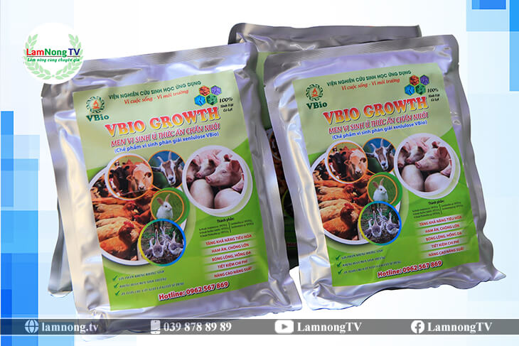 Men ủ thức ăn chăn nuôi Vbio (01)