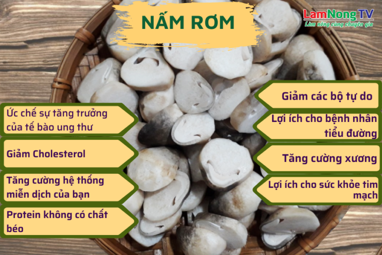 lợi ích trồng nấm rơm